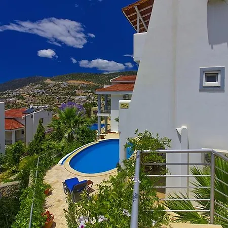 Aysegul Kalkan